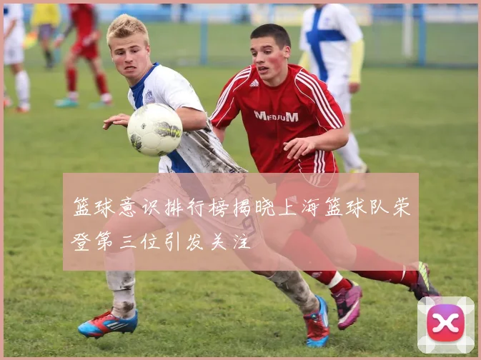 篮球意识排行榜揭晓上海篮球队荣登第三位引发关注