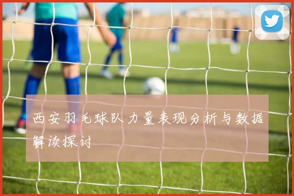 西安羽毛球队力量表现分析与数据解读探讨