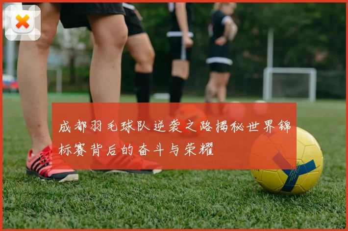 成都羽毛球队逆袭之路揭秘世界锦标赛背后的奋斗与荣耀