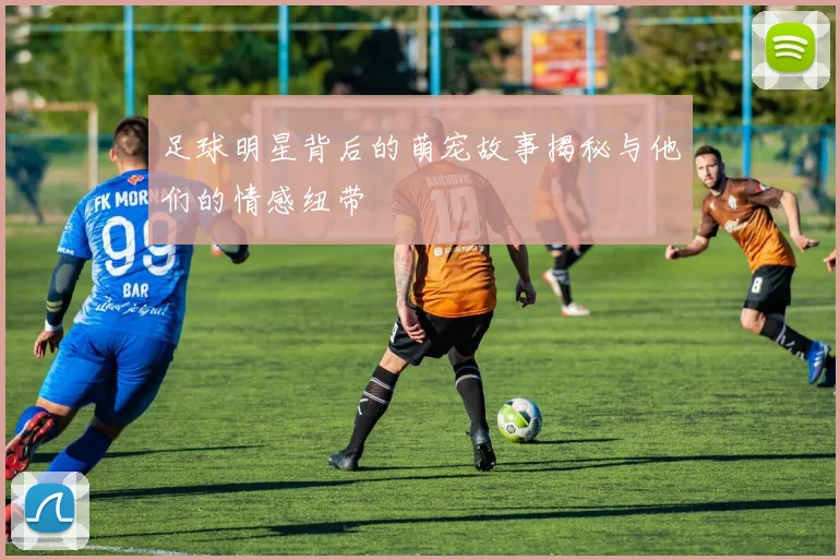 足球明星背后的萌宠故事揭秘与他们的情感纽带