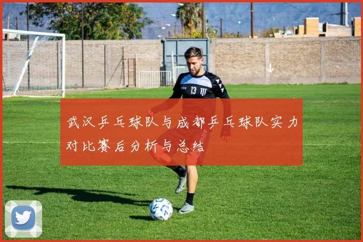 武汉乒乓球队与成都乒乓球队实力对比赛后分析与总结