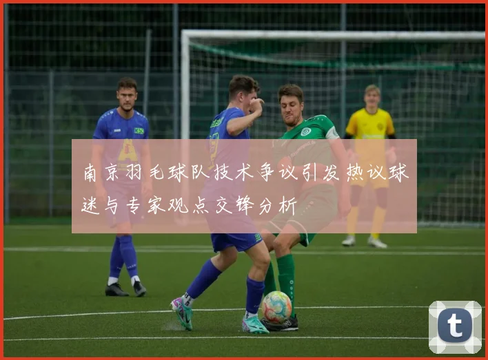 南京羽毛球队技术争议引发热议球迷与专家观点交锋分析