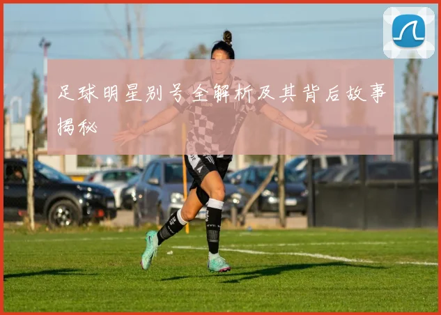 足球明星别号全解析及其背后故事揭秘