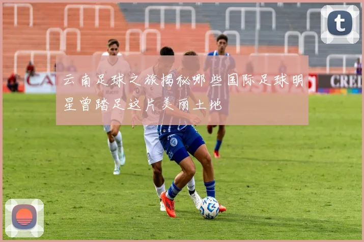 云南足球之旅揭秘哪些国际足球明星曾踏足这片美丽土地