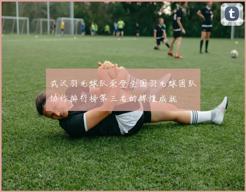 武汉羽毛球队荣登全国羽毛球团队协作排行榜第三名的辉煌成就