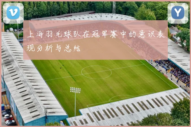 上海羽毛球队在冠军赛中的意识表现分析与总结