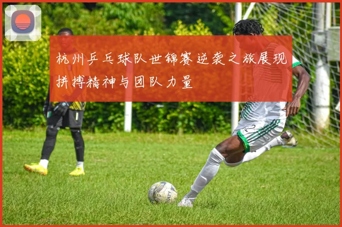 杭州乒乓球队世锦赛逆袭之旅展现拼搏精神与团队力量